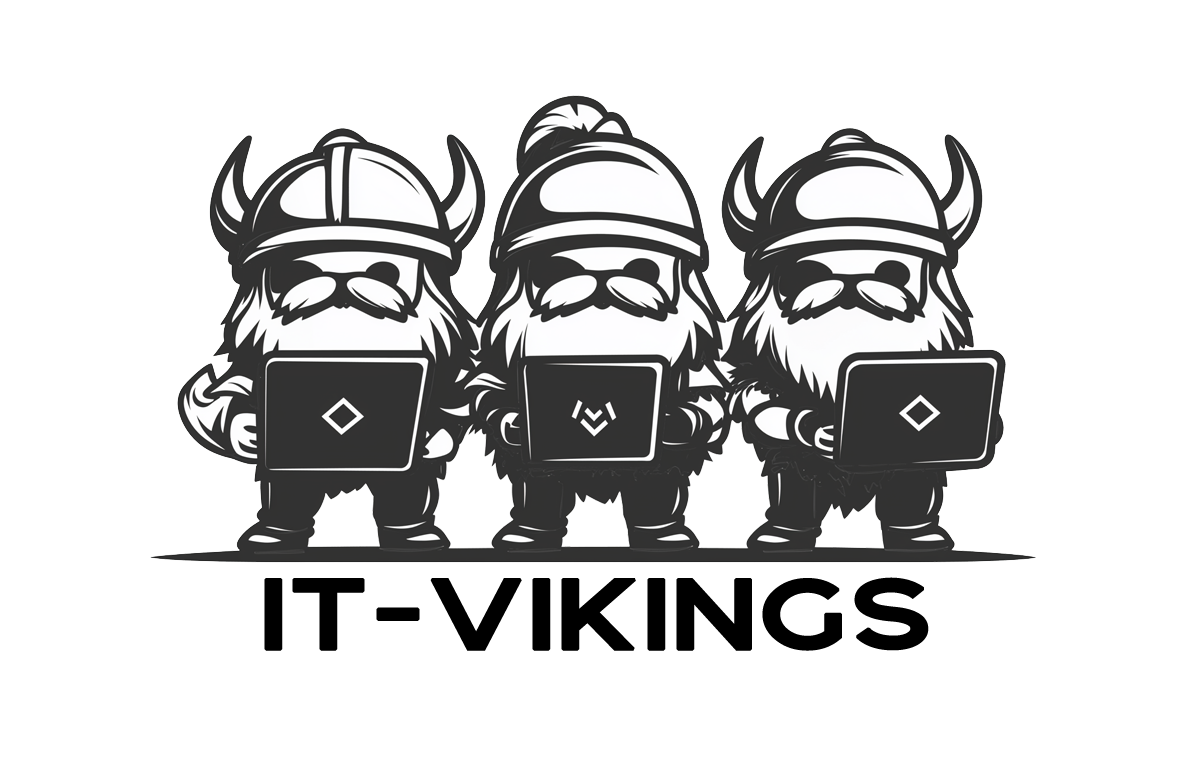 IT-Vikings Logo